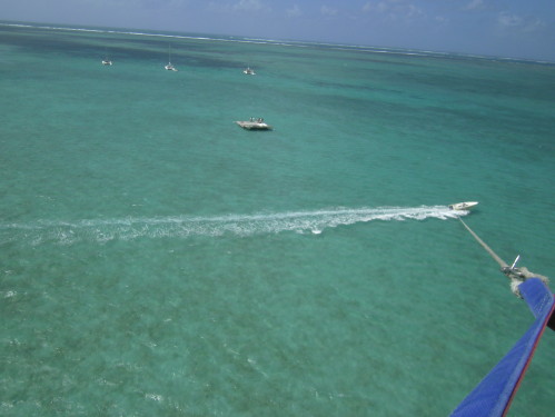 PICT0781