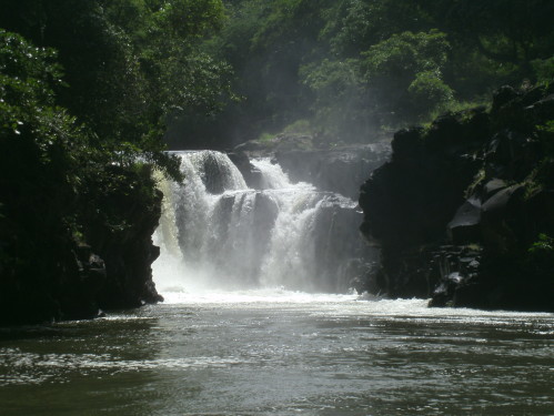 PICT0803