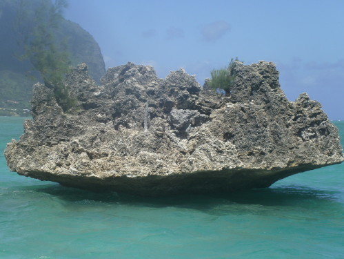 PICT0066