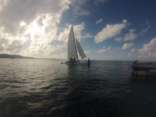 GOPR0337