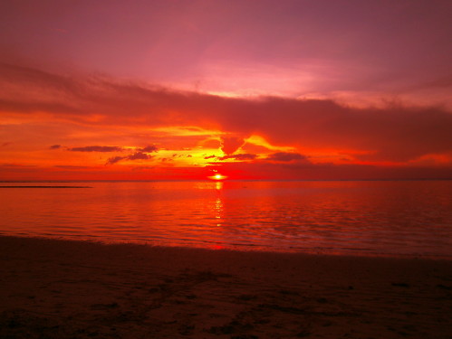PICT0660