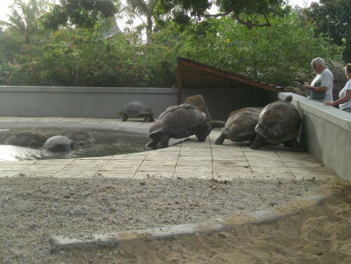 PICT0540