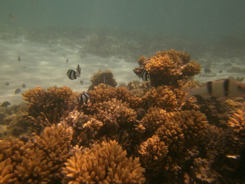 PICT0597