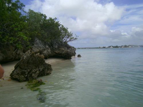 PICT0567