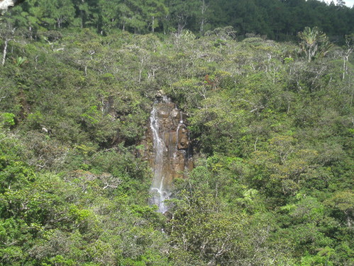 PICT0305