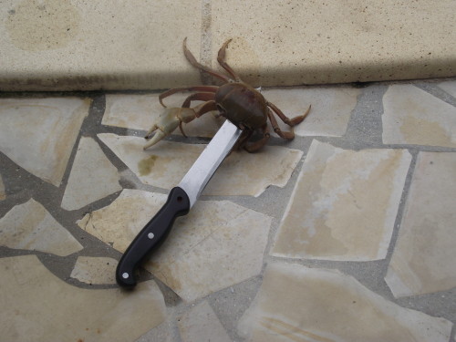 1 024