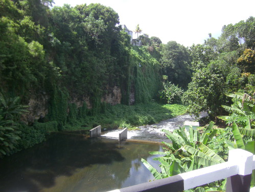 PICT0500