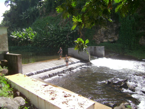 PICT0501