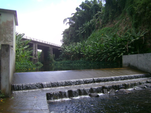PICT0505