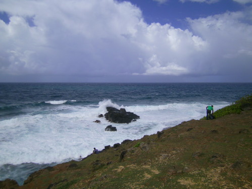 PICT0512