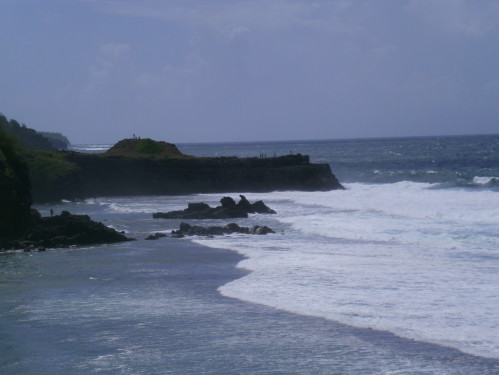 PICT0516
