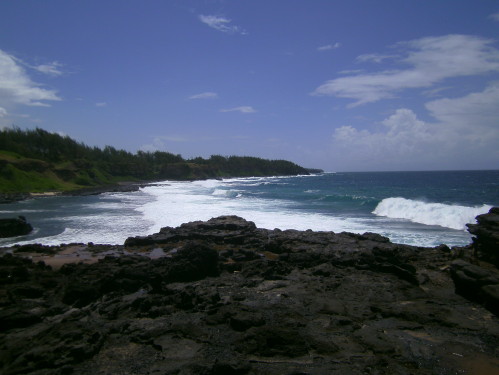 PICT0529