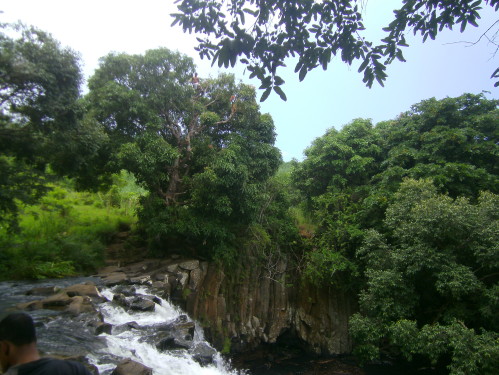 PICT0553