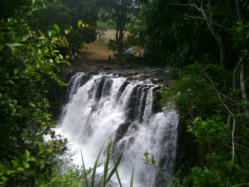 PICT0559