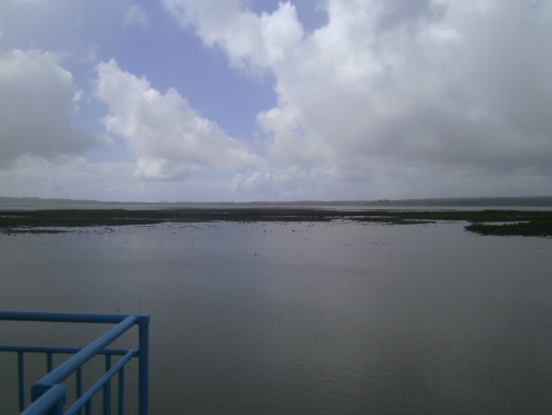 PICT0597