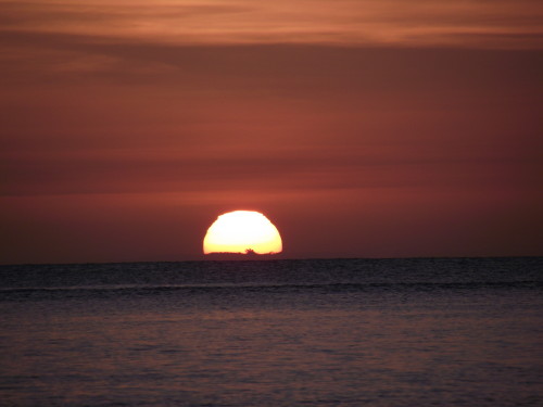 DSCF3433