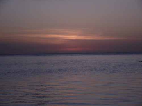 DSCF3437