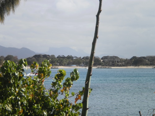 PICT0076