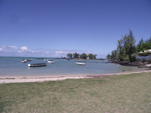 DSCF2810