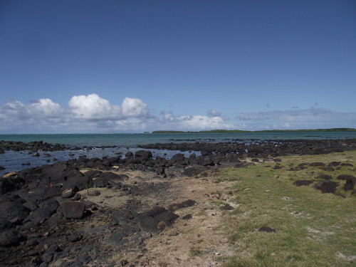 DSCF2826