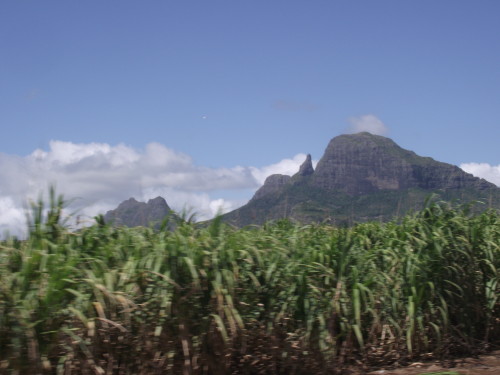 DSCF2752