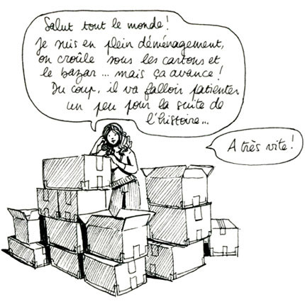 demenagement2