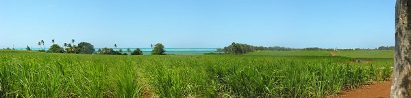 800px-2007-09-09 Mauritius 07