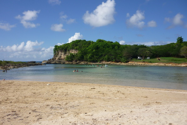 P1010646