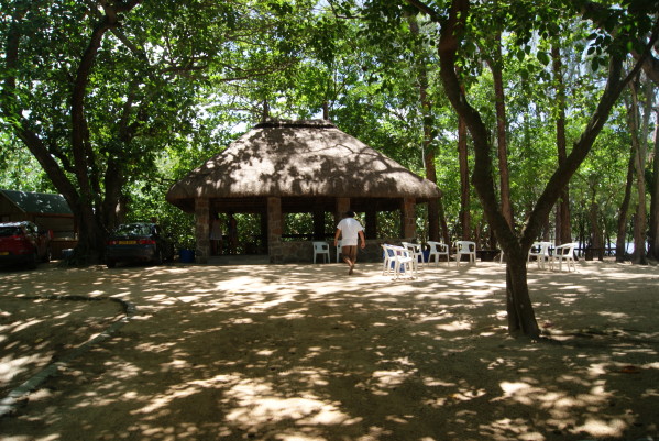 DSC02985